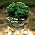 Tren Lingkungan Hidup: Gaya Hidup Ramah Bumi