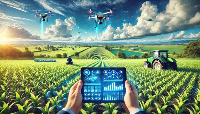 Inovasi Digital Dorong Perubahan Di Berbagai Sektor